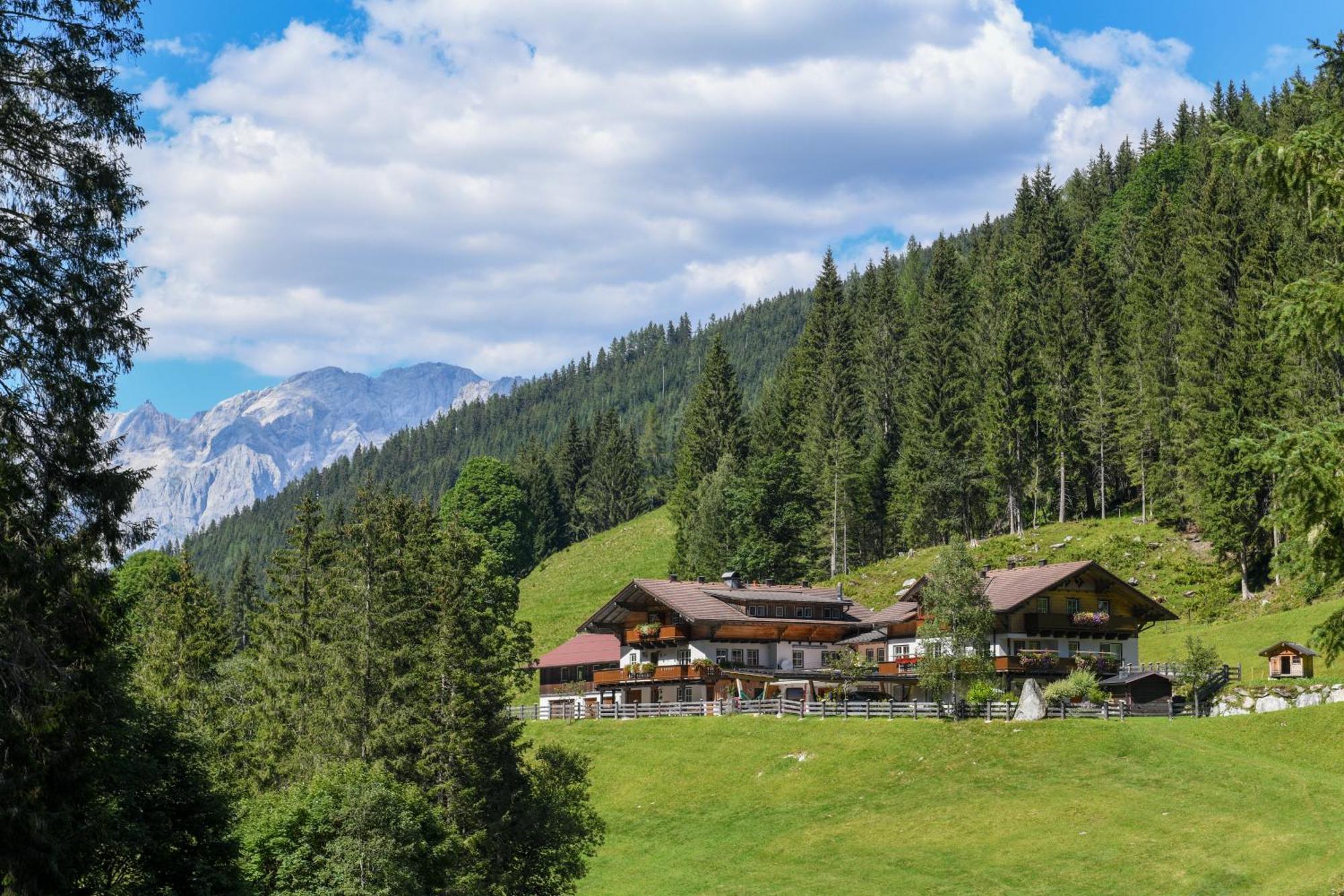 Strickhof Villa Schladming Exterior photo
